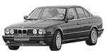 BMW E34 P387D Fault Code